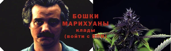 крисы Пестово