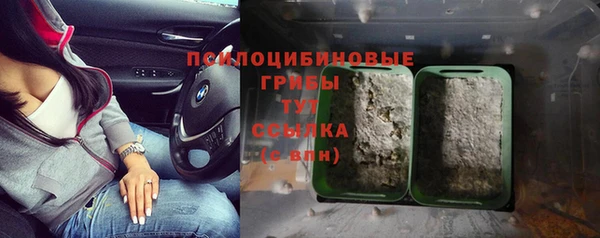 винт Пересвет